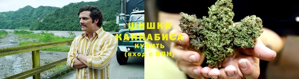 ешки Корсаков