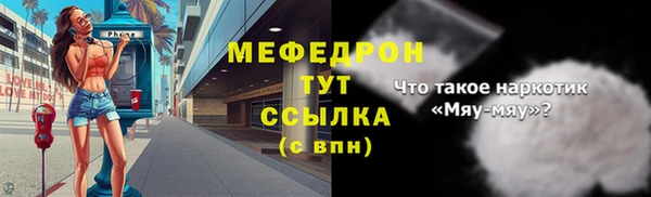 ешки Корсаков