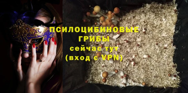 ешки Корсаков
