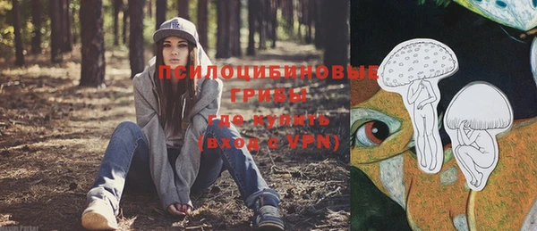ешки Корсаков