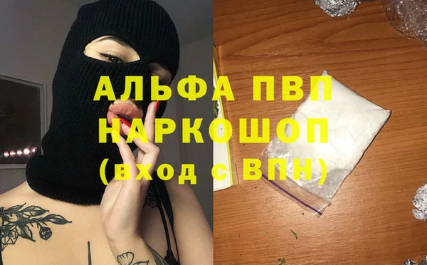 ешки Корсаков