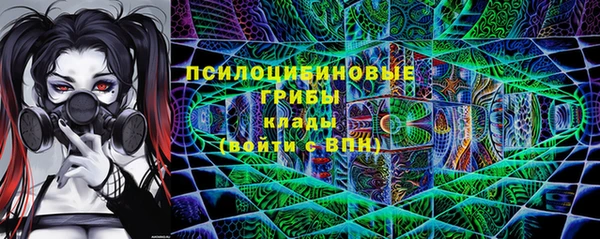 ешки Корсаков