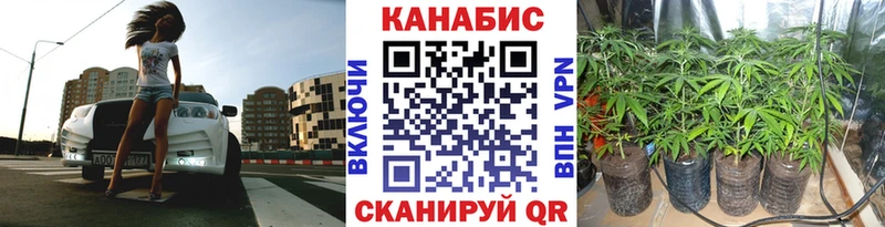 Канабис Bruce Banner  Купить где  Конаково 